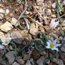 하늘땅바람 이미지