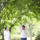 백조카써비스 이미지