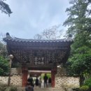 선암사성보박물관 | 산속의 궁궐 매화는 언제 즈음 꽃을 피울까, 순천 선암사