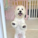 브리앙뜨몽 이미지