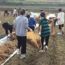성지송학중학교 이미지