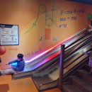 생활과학교실B | 창원과학체험관 뮤지컬 관람 토끼먹이주기체험 일부는 새단장