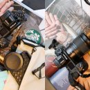 Z PC 신흥점 | 미러리스 카메라 답은 니콘 Z6