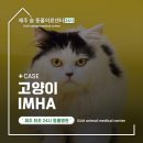 제주24시숨동물의료센터 | 제주도24시동물병원 고양이 IMHA 면역매개성용혈성빈혈 [숨동물의료센터]