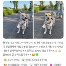 러블리댕 이미지