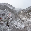 한국수묵화(오전) 이미지