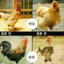 구조 역학 이미지