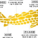 스톨존바이오(주) - 11589 | 철갑상어전문기업 스톨존바이오(주) 세계를 향한 도약
