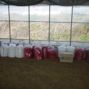 무등산 농원 이미지