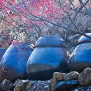 향기바람 Daum카페