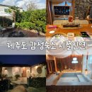 시절인연 | [제주도 시절인연 펜션] 내돈내산 솔직 후기, 제주도 감성숙소, 제주도 자쿠지