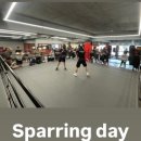 이엑스 복싱(EX BOXING) 이미지