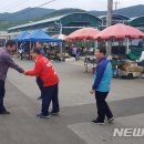 송백장 이미지