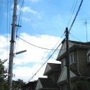 집집마다 미술관 이미지