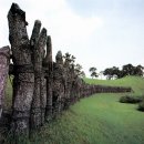 토성역1번출구 이미지