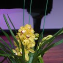 하하 아트홀 이미지