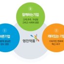 영진약품(주) 이미지