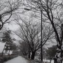 시를 노래하다, 시낭송 이미지