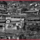 수원자연한의원 이미지