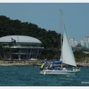 요트경기장 앞 이미지