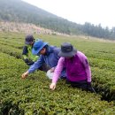 수겸농장 이미지