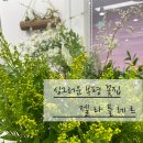 요거프레소하늘채점 | 다양한 꽃 프로그램 가득 부평꽃집 젤라플레르 :: 환갑 꽃다발 파란장미 꽃말