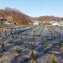 화신건축사사무소 이미지