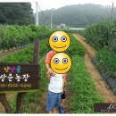 상운농장 이미지