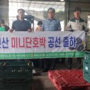 고전면 경남도민신문
