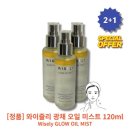 와이즐리