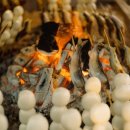 스타일펫츠 이미지