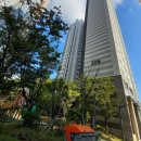 고대메디칼약국 이미지