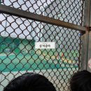왕산게임장 네이버블로그