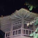 비산비야 Daum카페