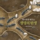 리잼