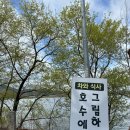 호수에그림하나 | 창원 풍경 맛집 호수에그림하나, 주남저수지 뷰에 벚꽃 진짜 미쳤음 !
