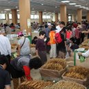 금산인삼쇼핑센타 이미지