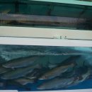 신정로5길 이미지