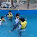 최강두리 태권도장 이미지