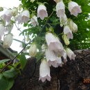 이현동2 이미지