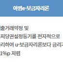 보금자리 | 정책 주담대 t-보금자리 대출 과정 및 후기