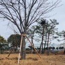 지오조경 이미지