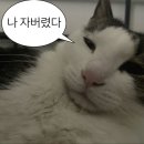 풀코스당구장