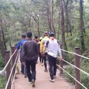 한반도면-9 이미지