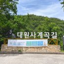 08월 08일 경남 산청 대원사 둘레길 정기산행예약 이미지