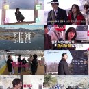 뉴식스센스 뉴스엔