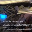 (주)해심