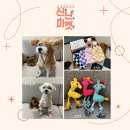 CS프리미어호텔 서울 이미지