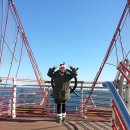 칠암바다장어 이미지