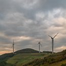 육백마지기 이미지